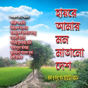 হায়রে আমার মন মাতানো দেশ ।। দেশের গান