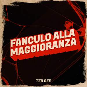 Fanculo alla maggioranza (Explicit)