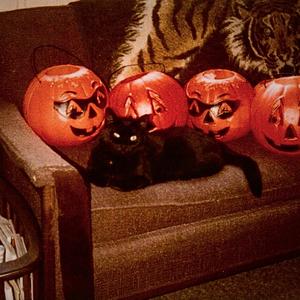 LOCO (feat. Skinny Jack Lee) (Explicit)