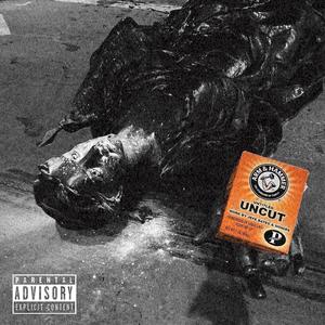 RL Camouflage (feat. Monie$ & Mama's Boi) (Explicit)