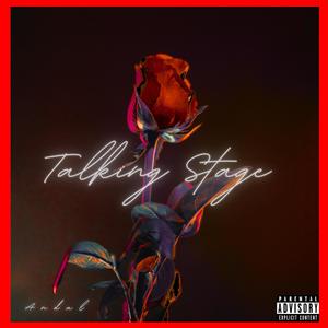 Talking Stage (Sped Up) (Explicit)
