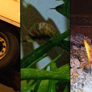 vou-me sorrir das lágrimas (Explicit)