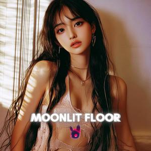 Moonlit Floor