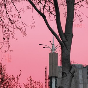 夜航西飞