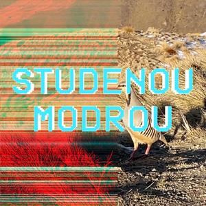 Studenou modrou