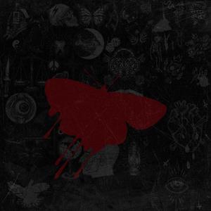 Reaper (Explicit)