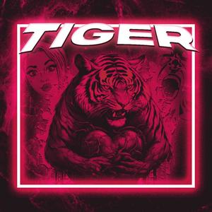 TIGER (Explicit)