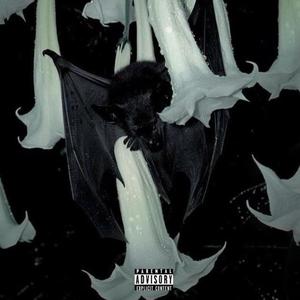 Bruce Wayne (feat. camsoulja) (Explicit)