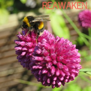 Reawaken