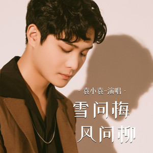雪问梅风问柳