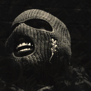 The Fallout (feat. DestheProvider) (Explicit)