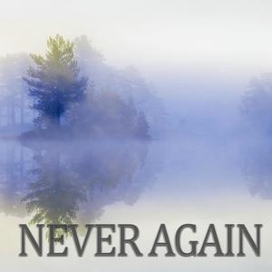 Never Again