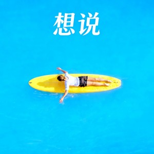 想说 (伴奏)