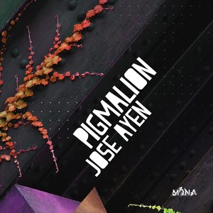 I Saw Your Face (Poolar Remix)