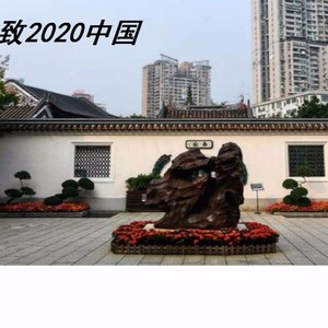致2020·中国