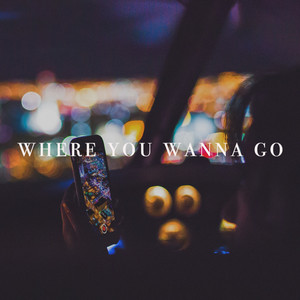 Where You Wanna Go