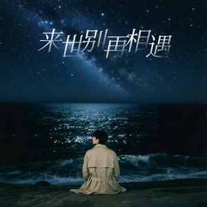来生别再相遇