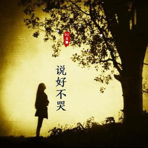 笑看风云 (DJ版)