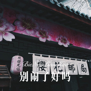 别闹了好吗 (Remix)