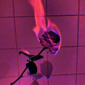 The Bottom (Explicit)