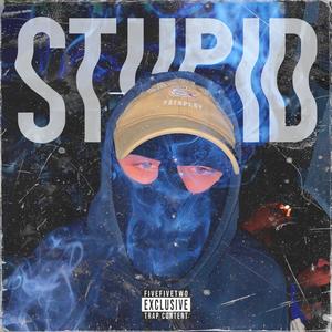 Stupid (Explicit)