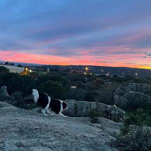 EnLaKenda (feat. Rakstudio) (Explicit)