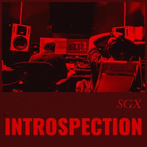 Introspection (Explicit)