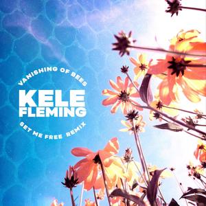 Vanishing of Bees (feat. Atlas to Earth) [Set Me Free Remix]