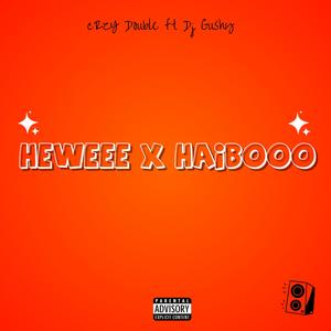 Heweee x Haibooo (feat. Dj Gushy)