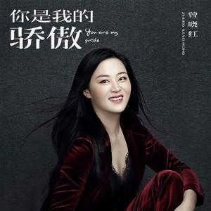 你是我的骄傲