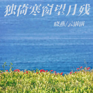 独倚寒窗望月残