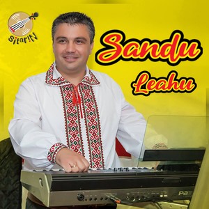 Sandu Leahu (Nunta mare la Moldova)