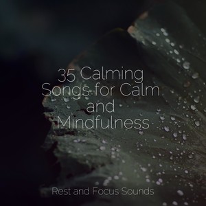 35 Calming Songs for Calm and Mindfulness