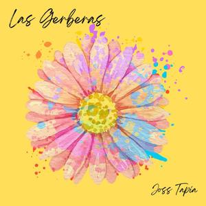 las gerberas