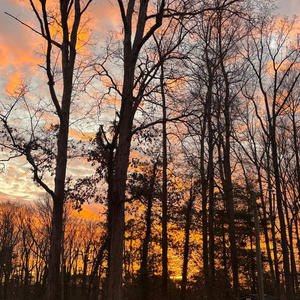 FEAR NOTHING (Explicit)