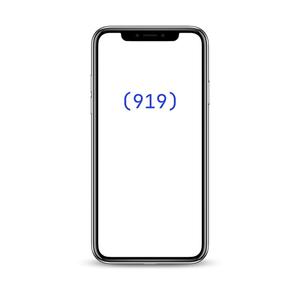 (919) (feat. Z0NE BEATZZ, Kuroma the sage, Marquell & Koolaidbabiii) (Freestyle) (Explicit)