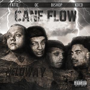 CANE FLOW (Explicit)