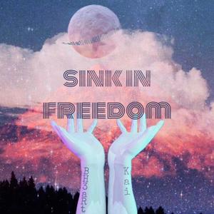 Sink in freedom