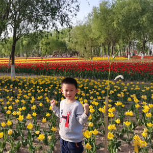静悟 - 14夏日绝句李清照