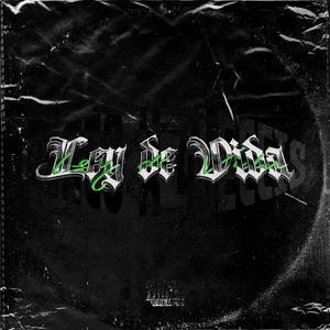 Ley de vida (feat. 4leccis) [Explicit]