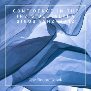 Confidence in the Invisible