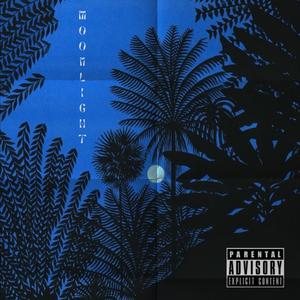 MOONLIGHT (Radio Edit)