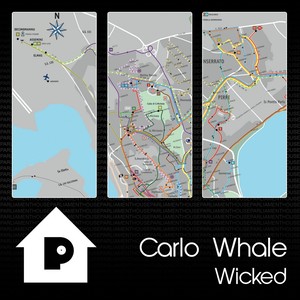 Wicked (Original Mix)