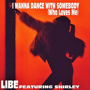 I Wanna Dance with Somebody(Who Loves Me) (Inst.)