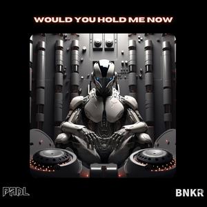 Would You Hold Me Now