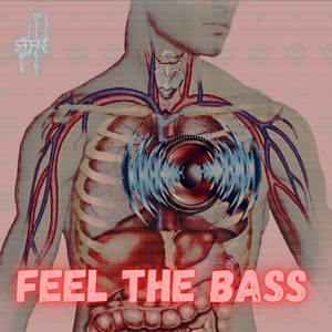 Feel the Bass