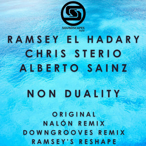 Non Duality (Downgrooves Mix)