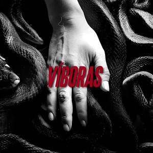 Víboras (feat. Esse Delgado) (Explicit)