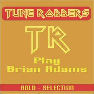 Bryan Adams Hits Performed by the Tune Robbers, Vol. 1