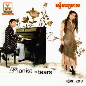 RHM Vol. 293 (The Pianist in Tears)